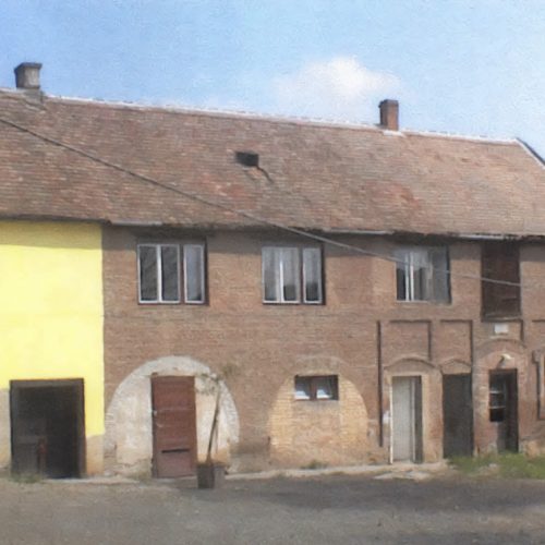 félutas copy